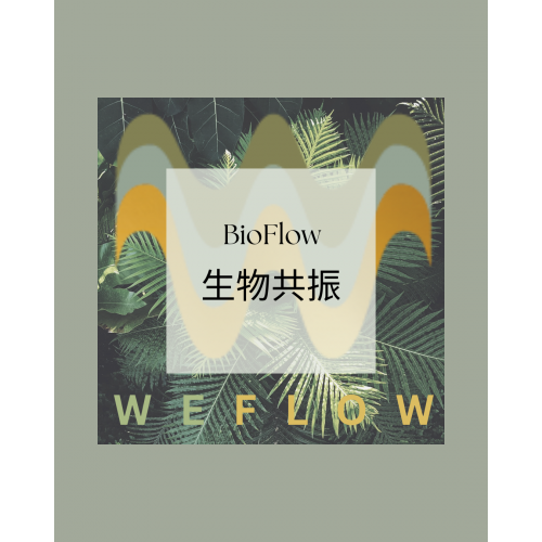 Bio-Flow 生物共振分析及調頻