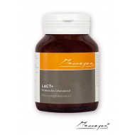 Mannayan LACT+